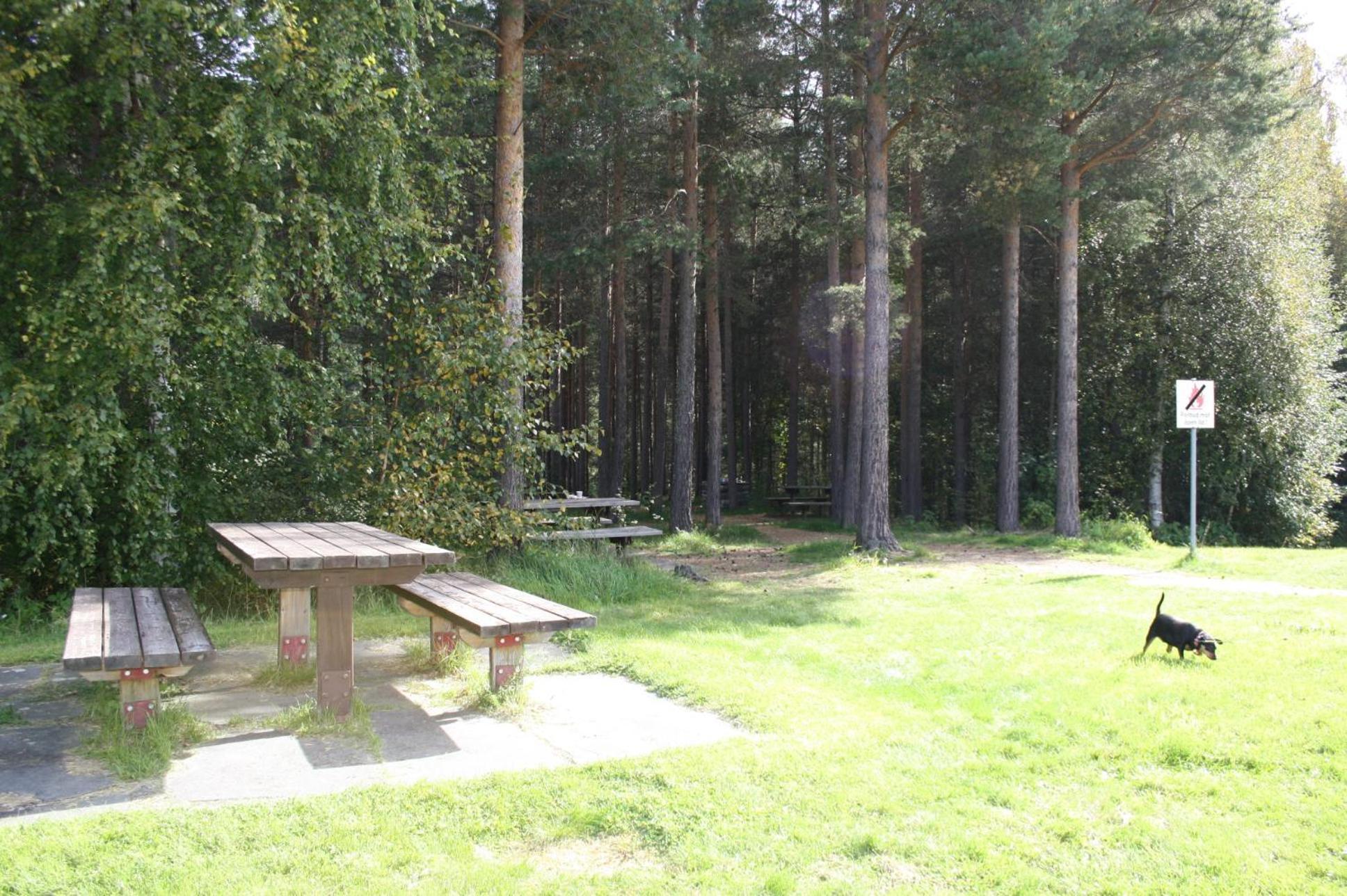 Dovreskogen Gjestegard As Bagian luar foto