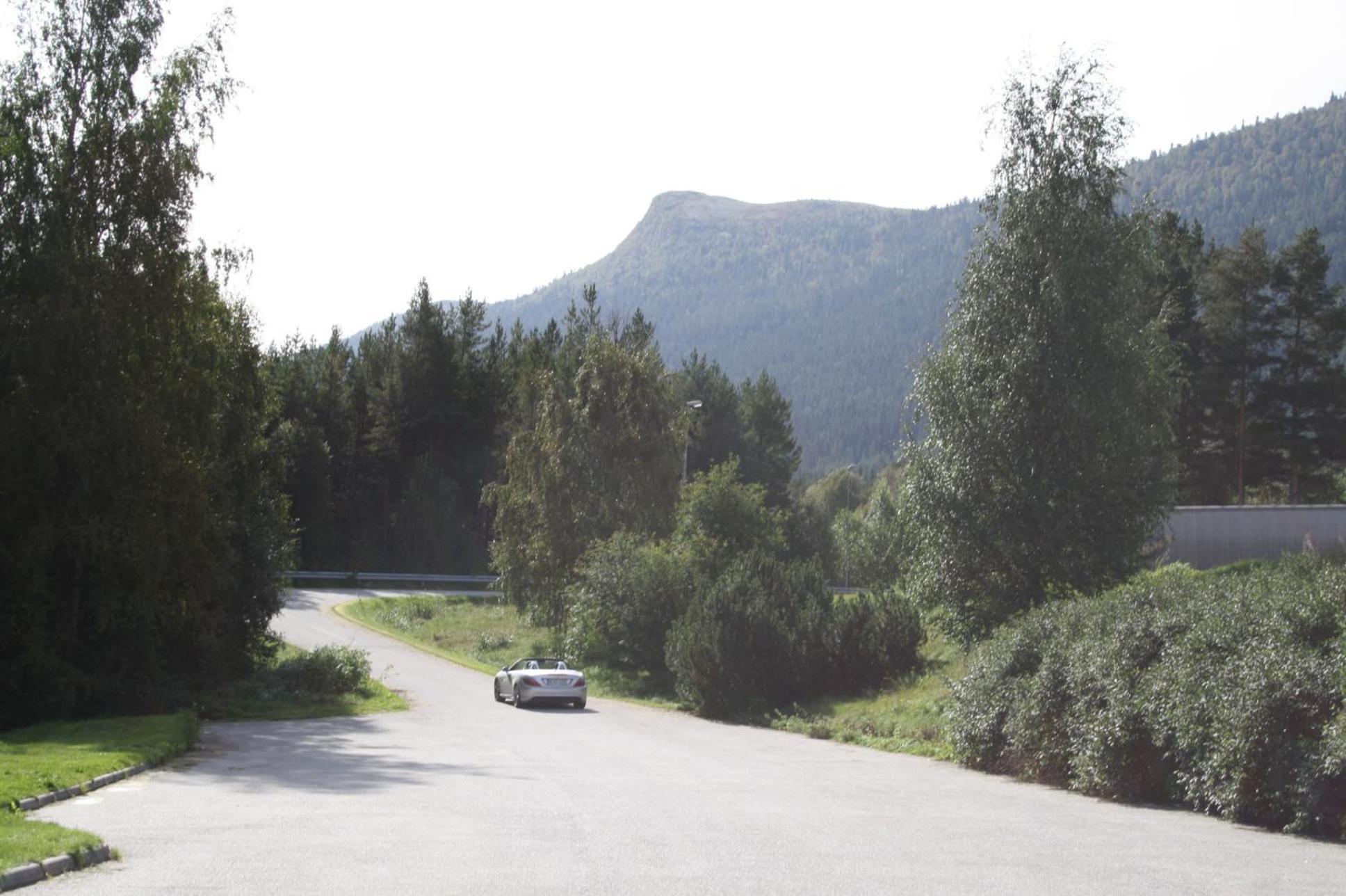 Dovreskogen Gjestegard As Bagian luar foto